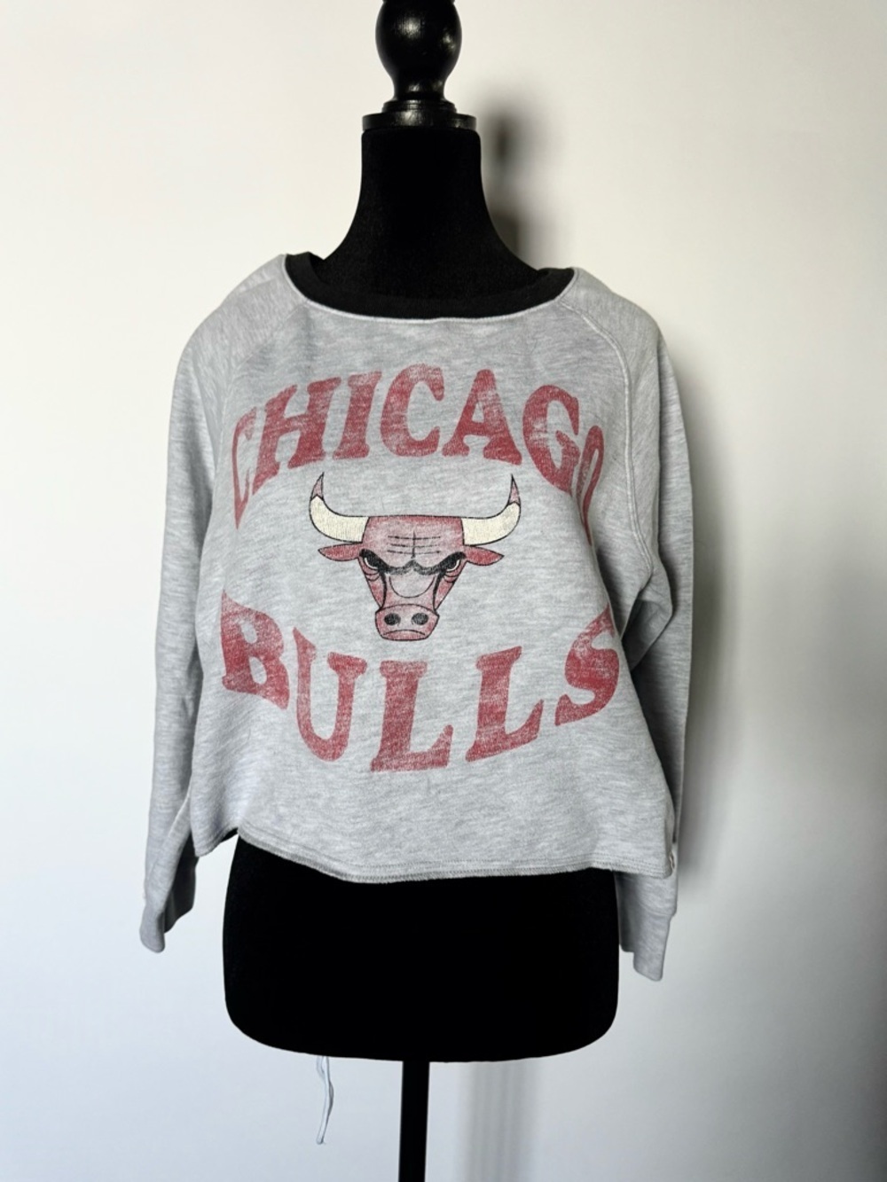 47 Chicago Bulls Crew Neck Cropped Sweatshirt Size S